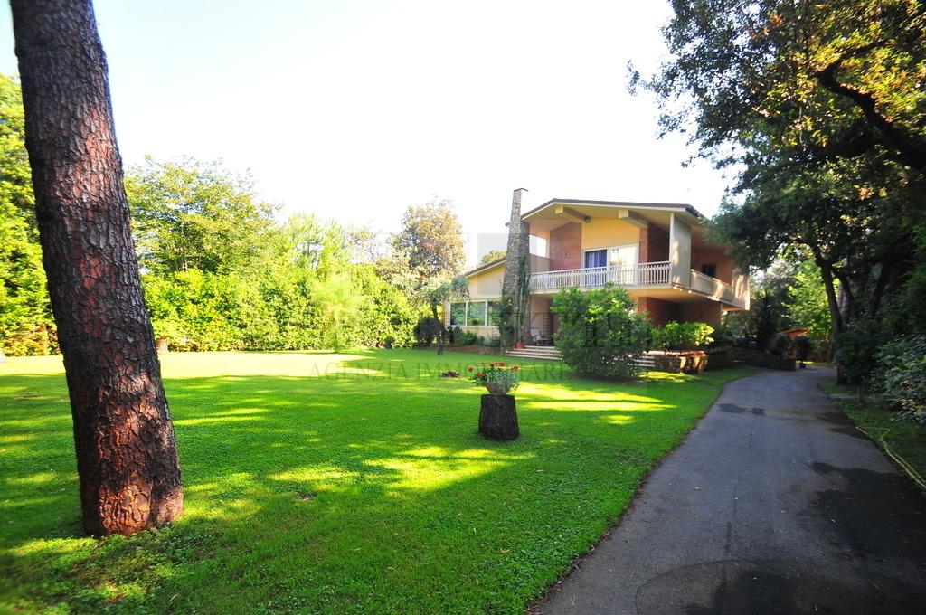 Vendita Eptavani, Pietrasanta foto