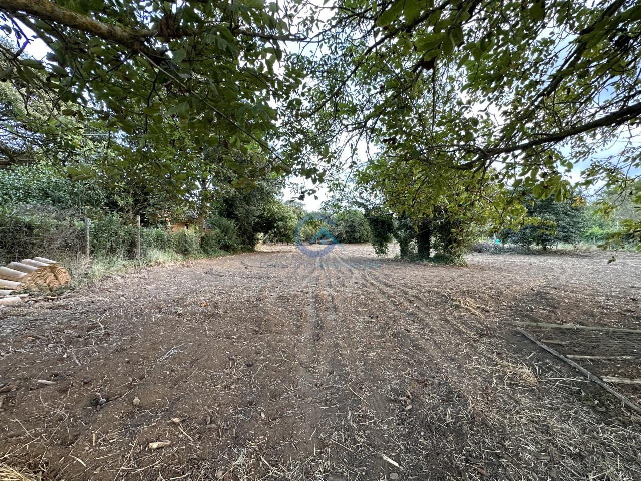 Vendita Terreni, Borgia foto