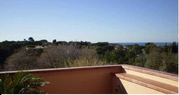 Vendita Multivani, Livorno foto