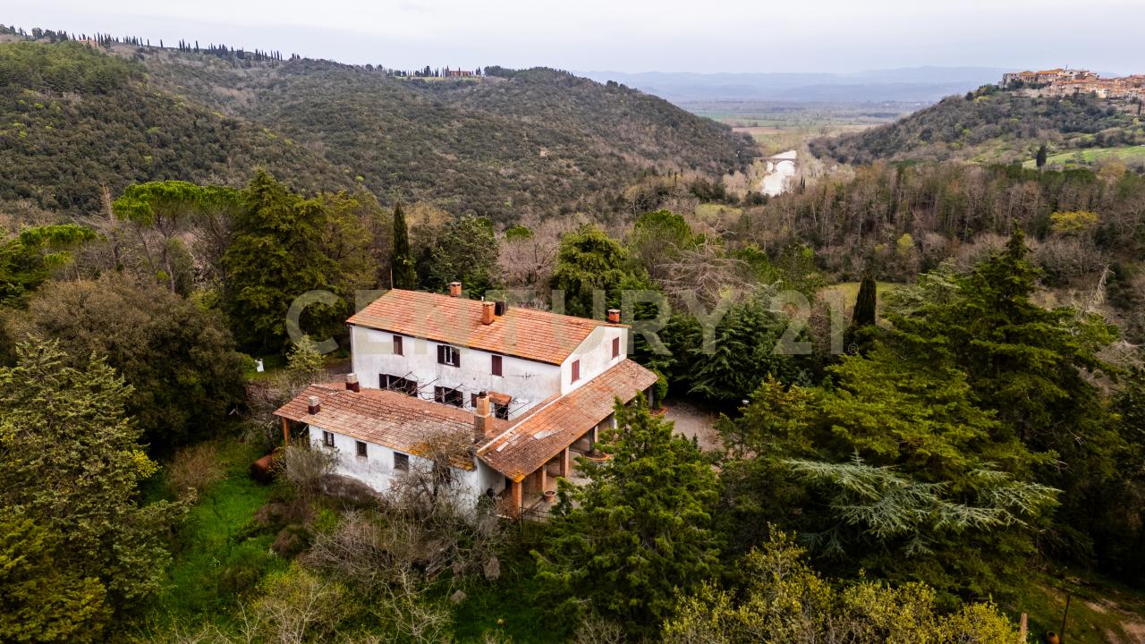 Vendita Multivani, Cinigiano foto