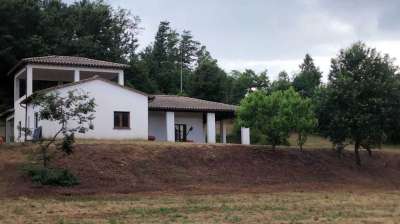 Vendita Esavani, Guardea