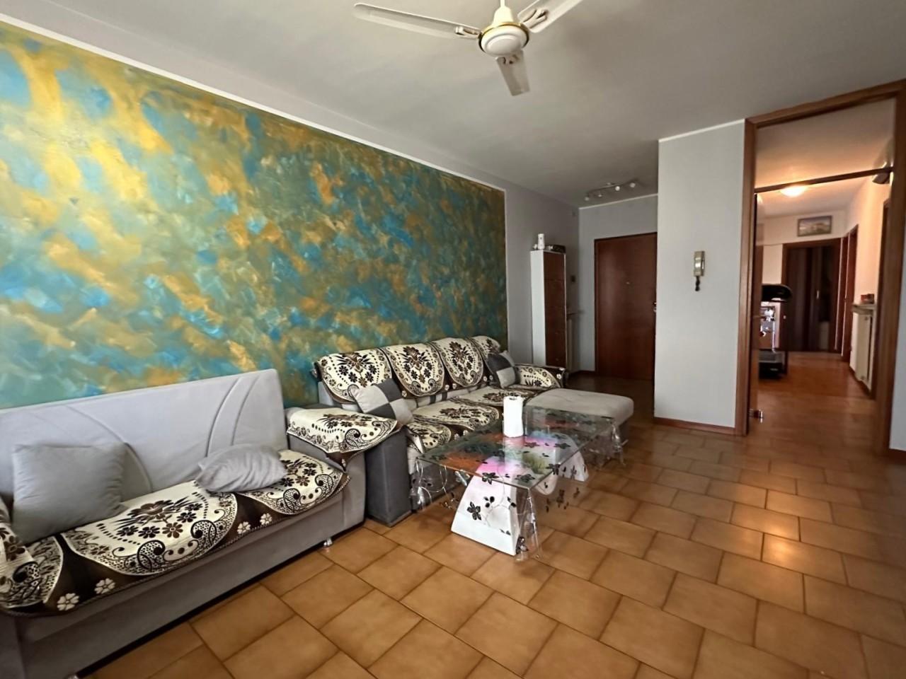 Vendita Quadrivani, Fiorenzuola d'Arda foto