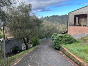 Vendita Multivani, Sarzana Vendita Multivani, Sarzana
