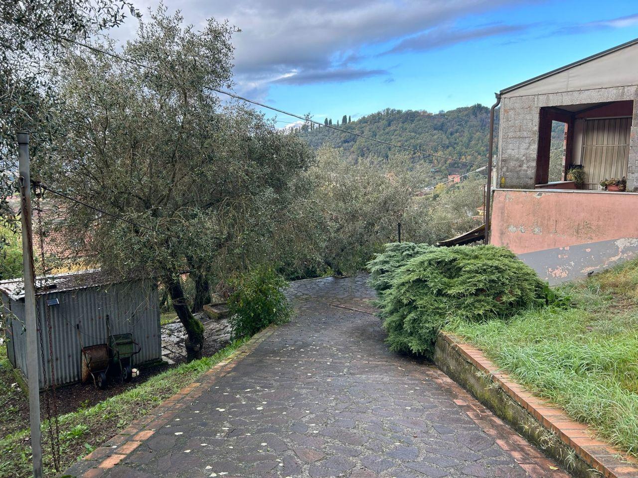 Sale Multivani, Sarzana foto