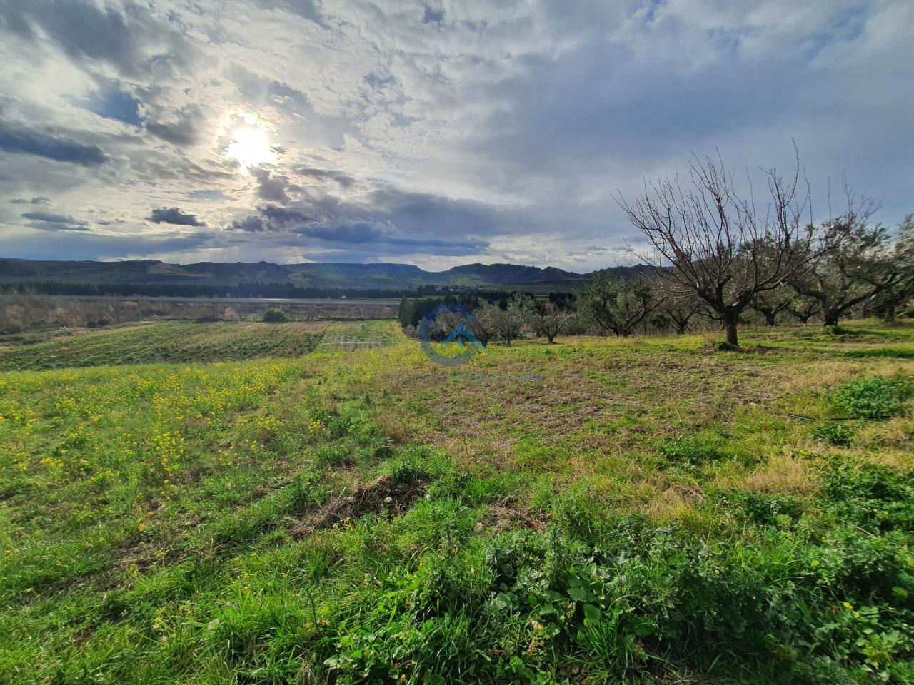 Vendita Terreni, Catanzaro foto