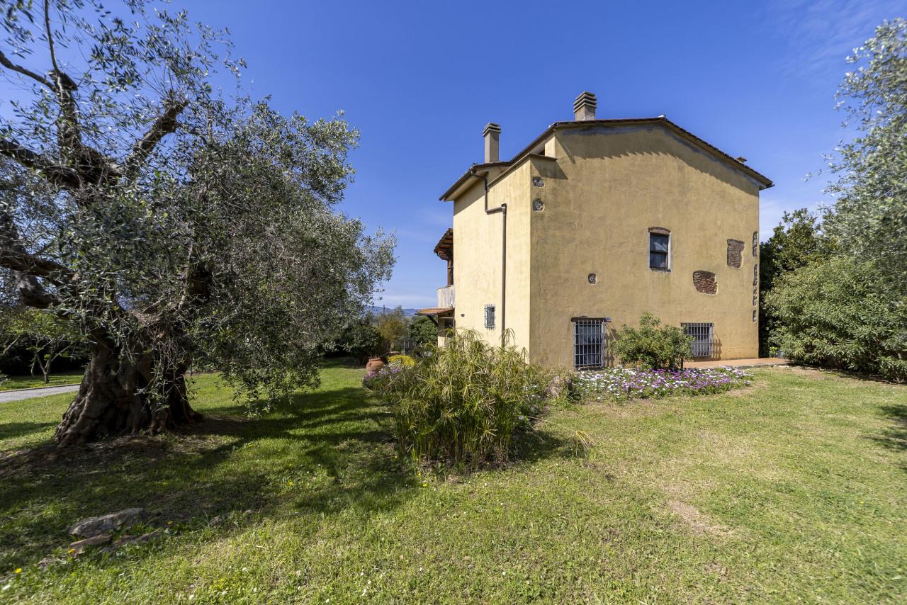 Affitto Multivani, Orbetello foto