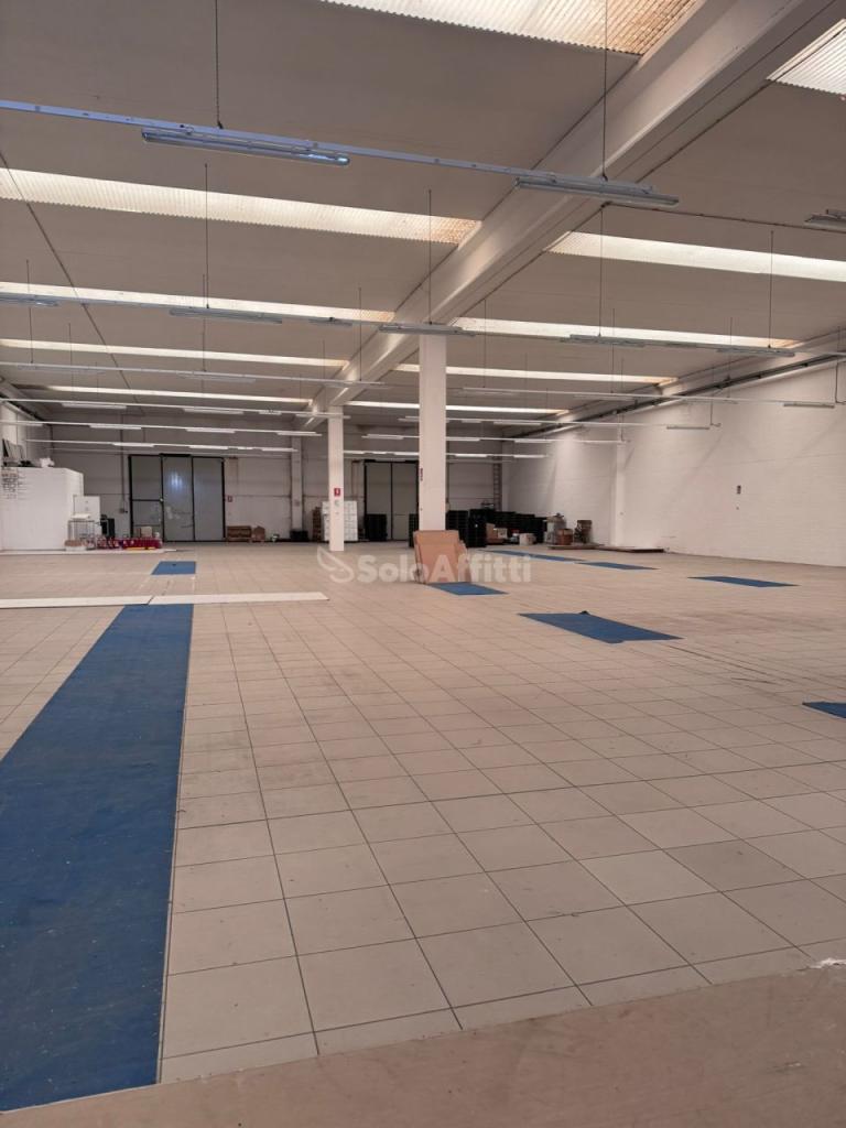 Affitto Monovano, Citta Sant'Angelo foto