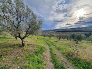 Vendita Terreni, Catanzaro