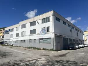 Affitto Bivani, Catanzaro Affitto Bivani, Catanzaro