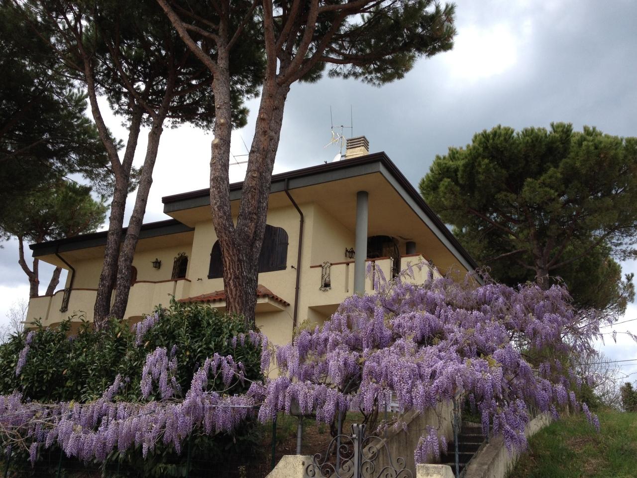 Vendita Pentavani, Gabicce Mare foto