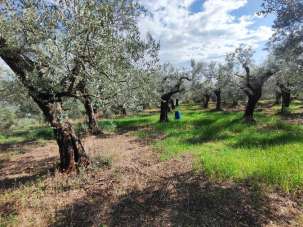 Vendita Monovano, Guidonia Montecelio Vendita Monovano, Guidonia Montecelio