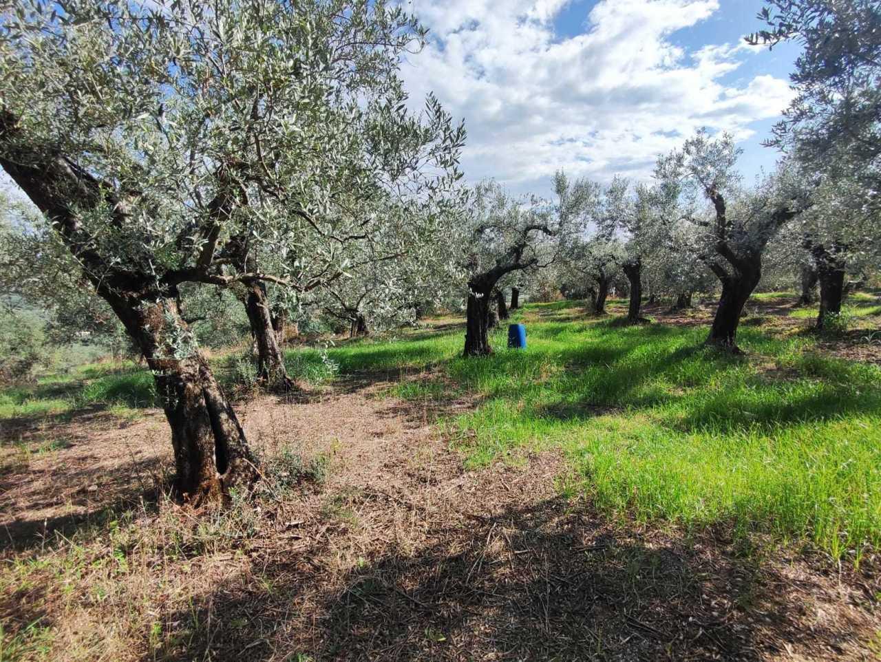 Vendita Monovano, Guidonia Montecelio foto