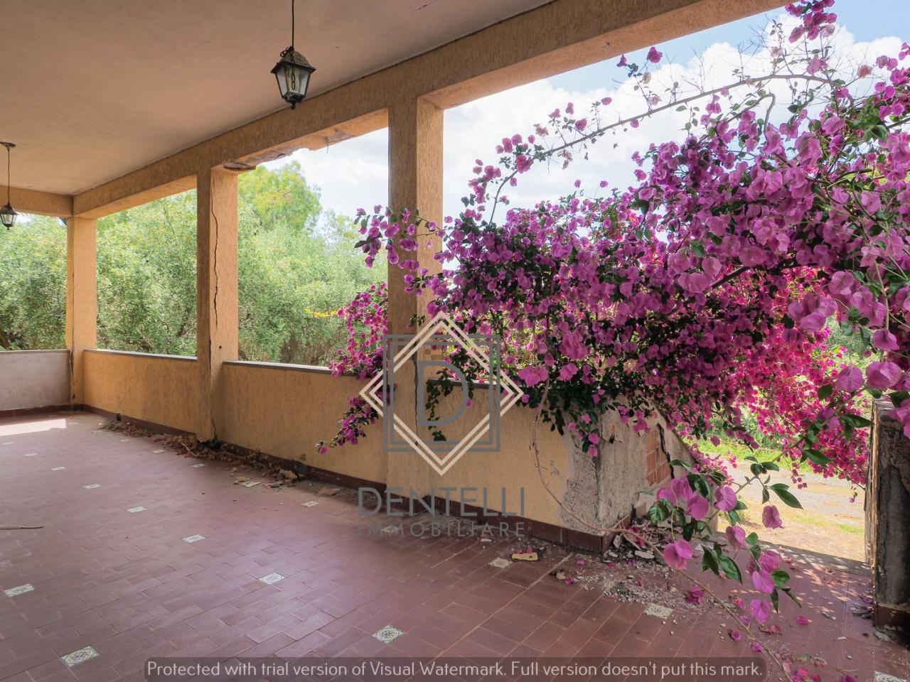 Vendita Quadrivani, Ameglia Vendita Quadrivani, Ameglia foto