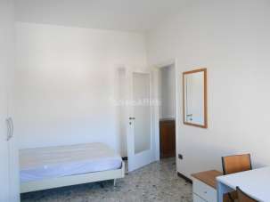 Affitto Bivani, Pavia Affitto Bivani, Pavia