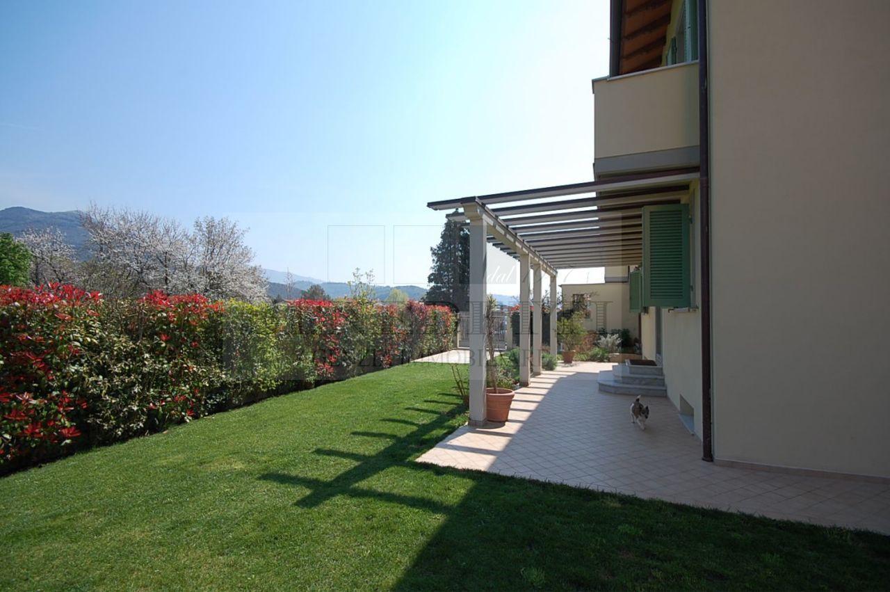 Vendita Multivani, Pietrasanta foto