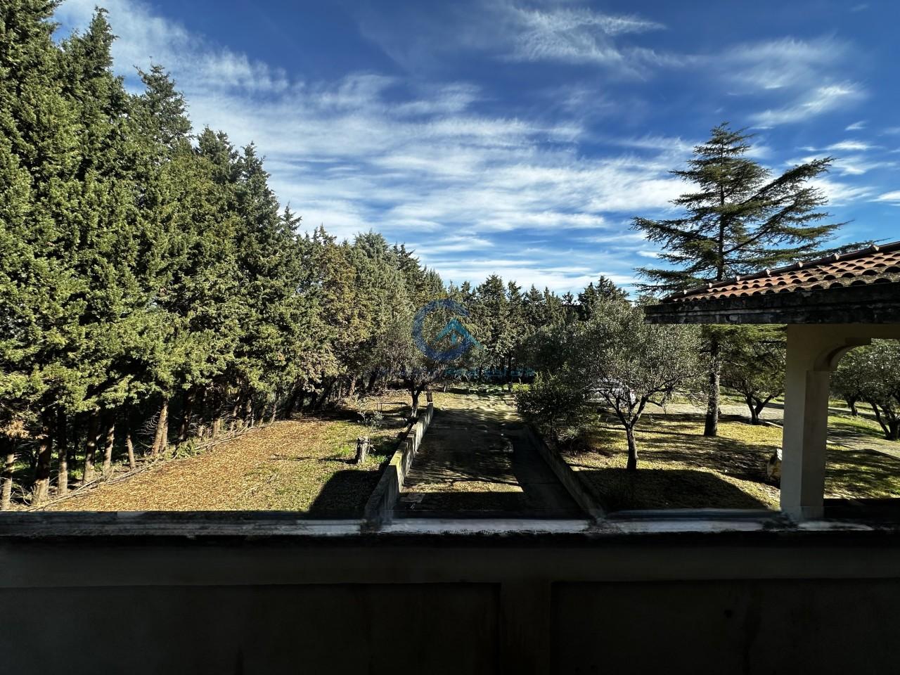 Vendita Multivani, Cropani foto