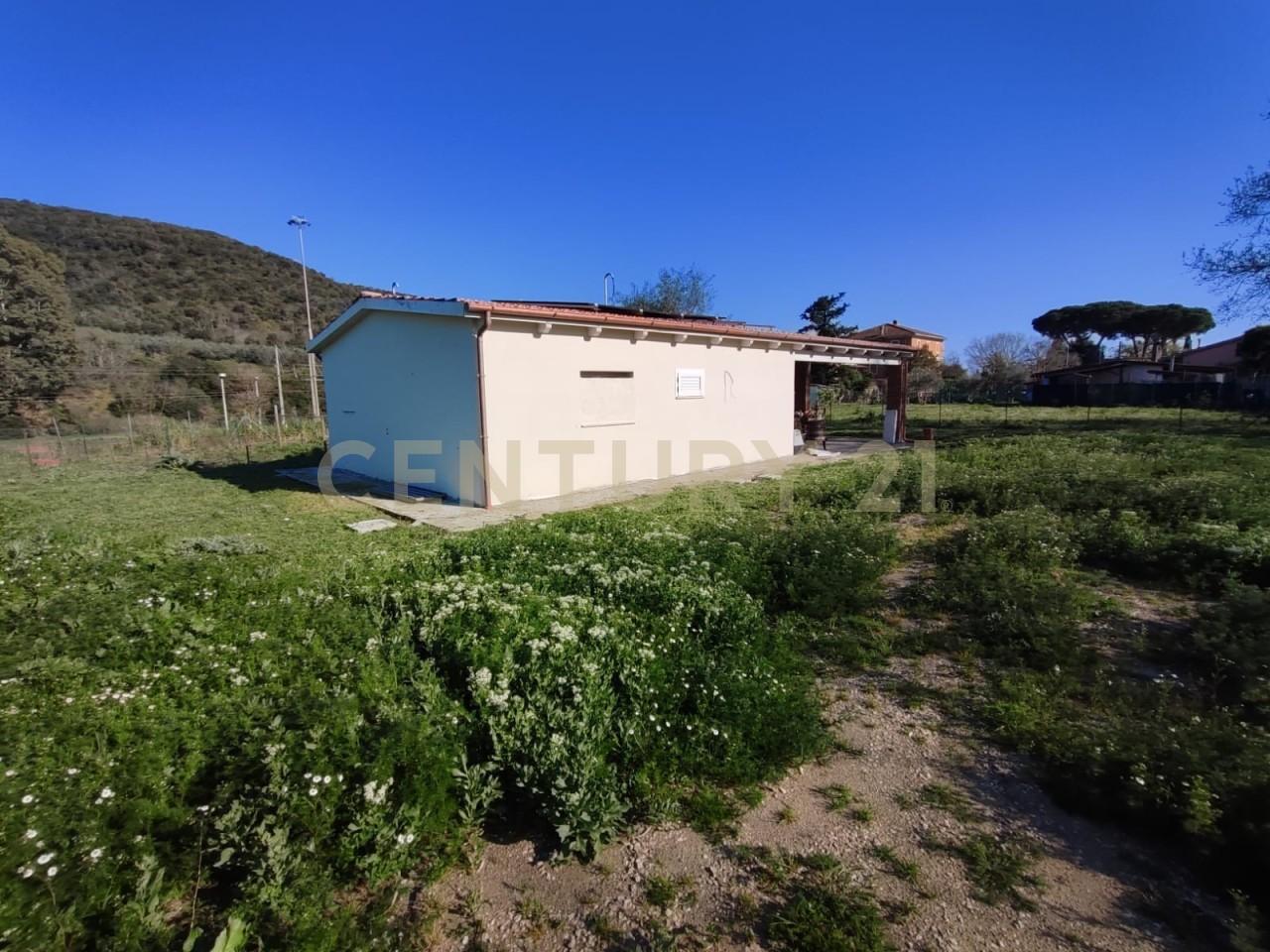 Vendita Trivani, Grosseto foto