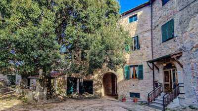 Vendita Eptavani, Roccastrada Vendita Eptavani, Roccastrada