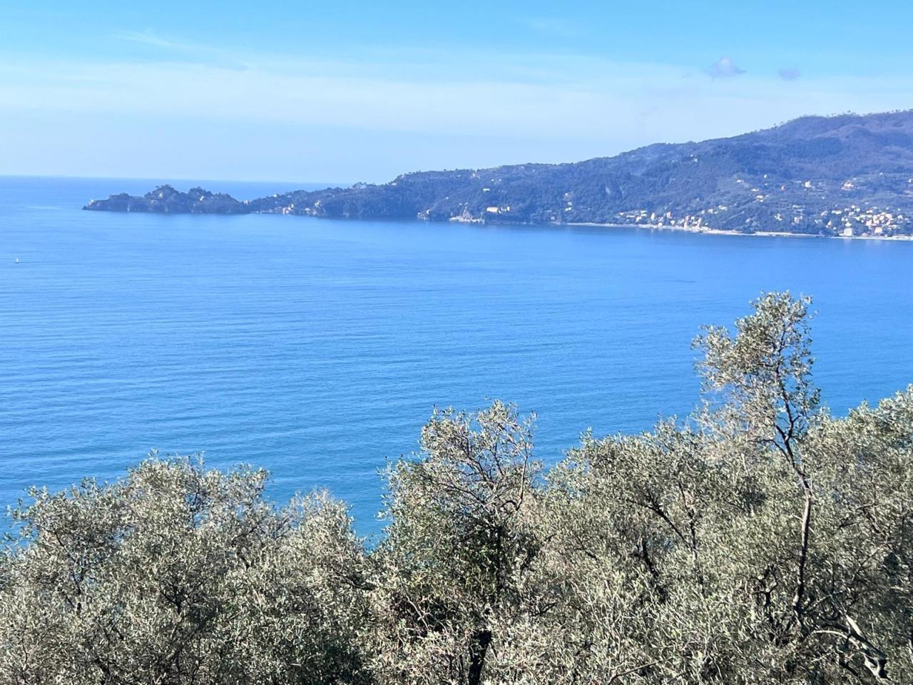 Vendita Multivani, Zoagli Vendita Multivani, Zoagli foto