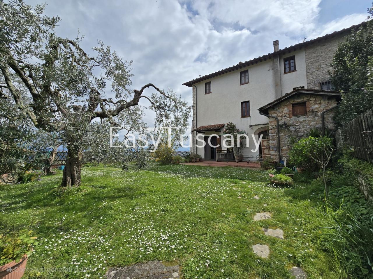 Vendita Multivani, Lucca foto