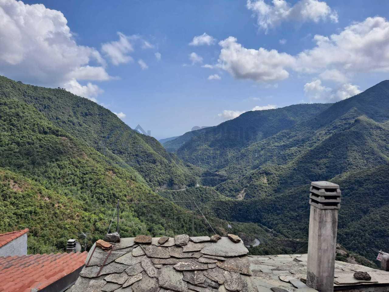 Vendita Quadrivani, Molini di Triora foto