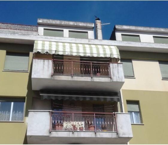 Vendita Multivani, Nuoro foto