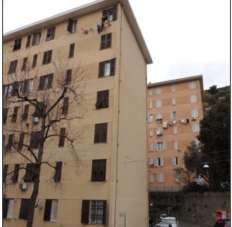 Vendita Bivani, Genova Vendita Bivani, Genova