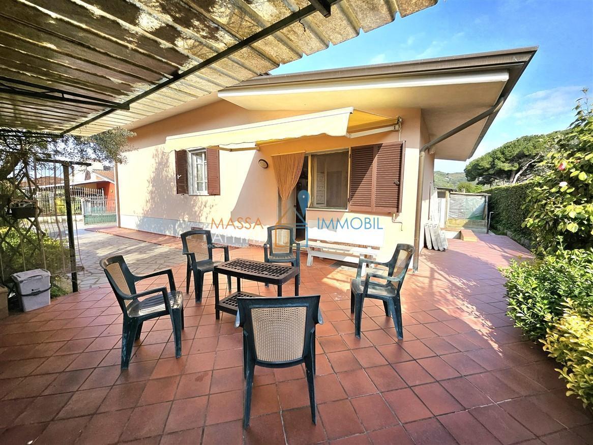 Vendita Esavani, Massa Vendita Esavani, Massa foto