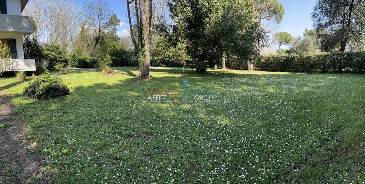 Vendita Multivani, Massa Vendita Multivani, Massa foto