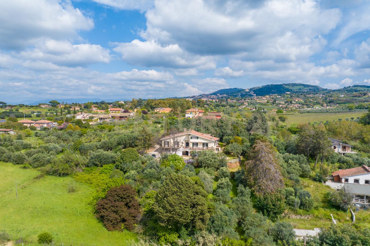 Vendita Multivani, Frascati foto