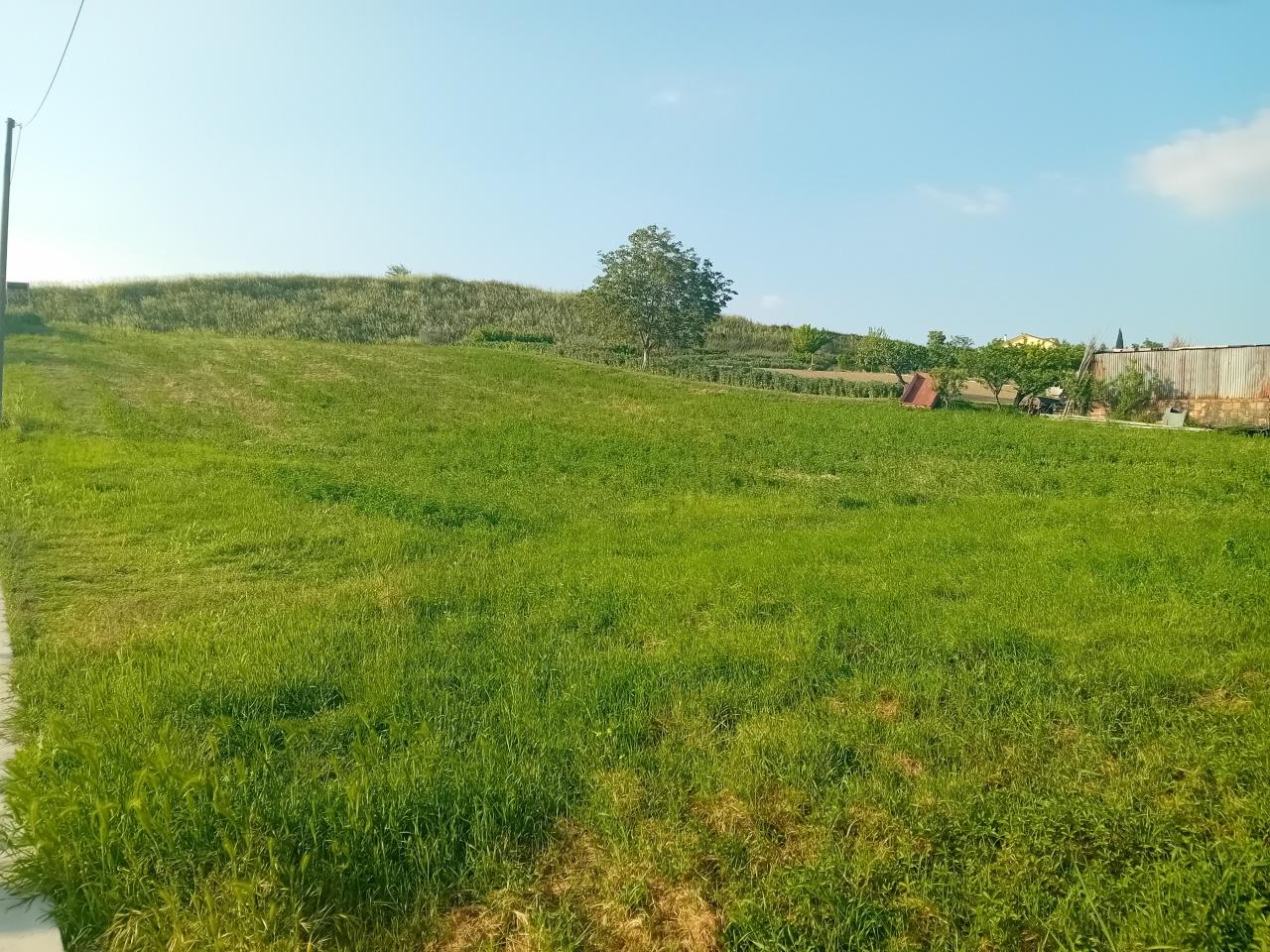 Vendita Multivani, Alanno foto