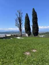 Affitto Monovano, Arcugnano Affitto Monovano, Arcugnano