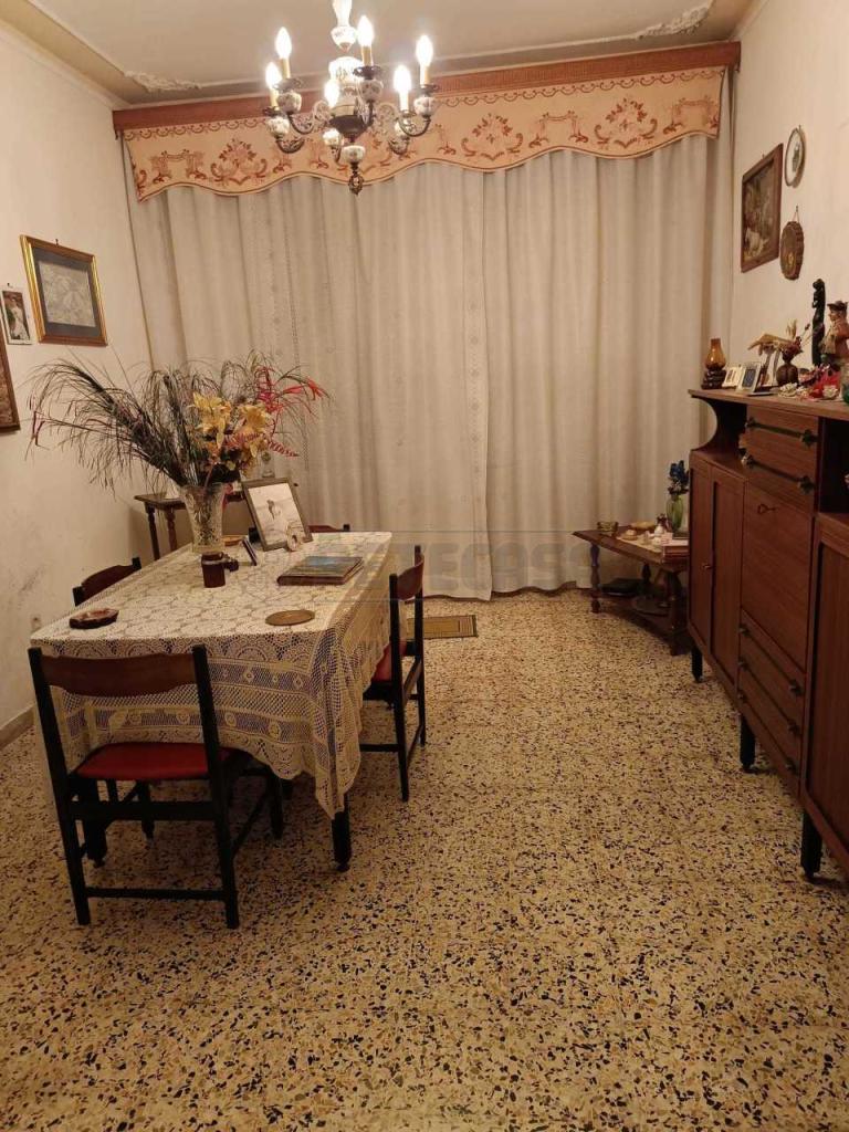 Vendita Pentavani, Maglie Vendita Pentavani, Maglie foto