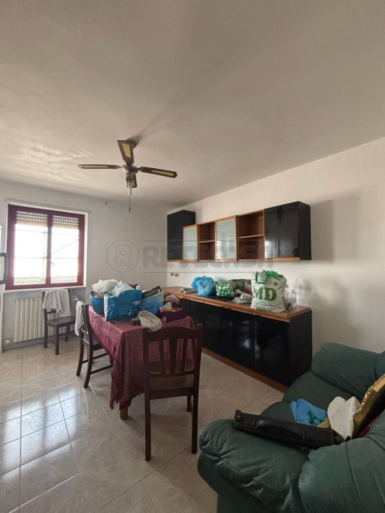 Vendita Quadrivani, Maglie Vendita Quadrivani, Maglie foto