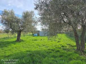 Vendita Quadrivani, Tuoro sul Trasimeno