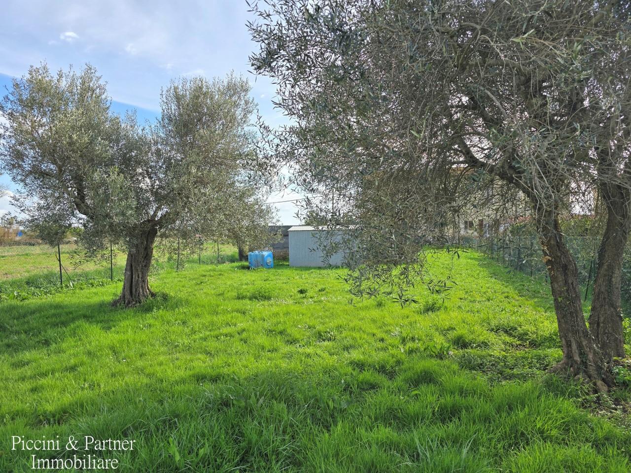 Vendita Quadrivani, Tuoro sul Trasimeno foto