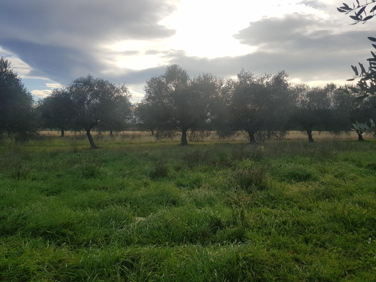 Vendita Case, Vezzano Ligure foto