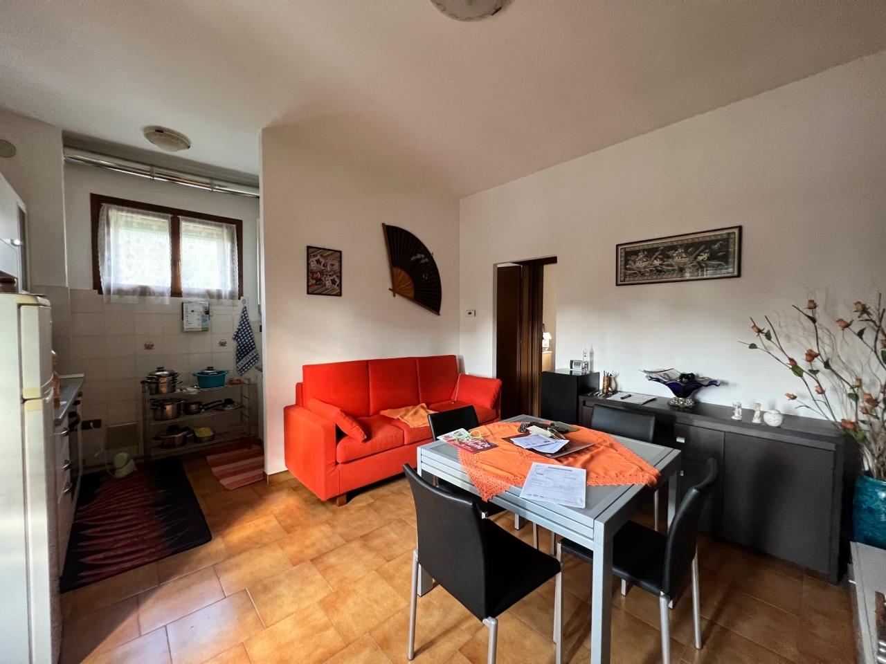 Vendita Trivani, Frassinelle Polesine foto
