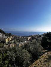 Vendita Esavani, Bogliasco Vendita Esavani, Bogliasco