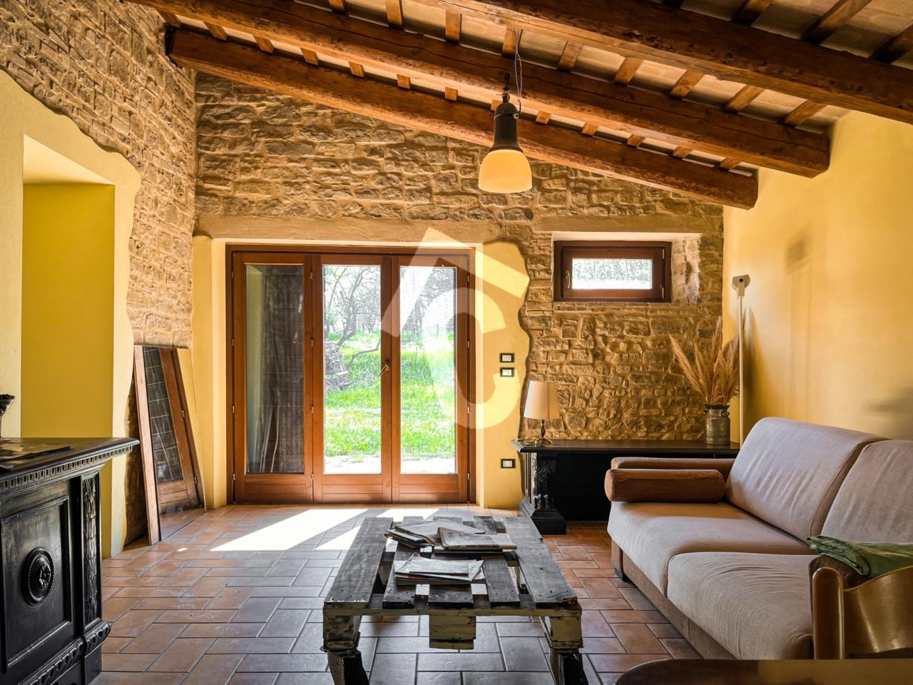 Vendita Multivani, Serra San Quirico foto