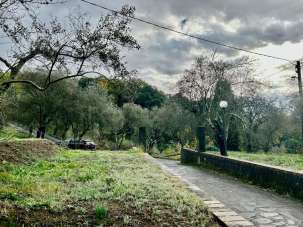 Vendita Multivani, Sarzana Vendita Multivani, Sarzana
