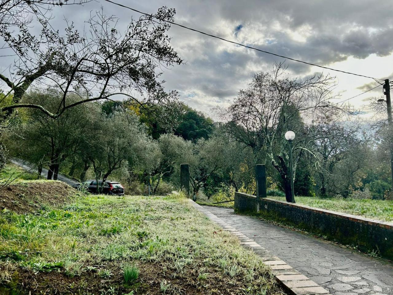 Vendita Multivani, Sarzana Vendita Multivani, Sarzana foto