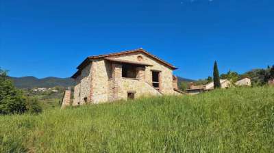 Vendita Multivani, Montecchio Vendita Multivani, Montecchio
