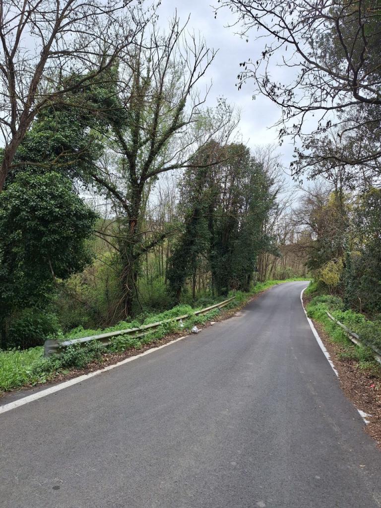 Vendita Monovano, Morlupo foto