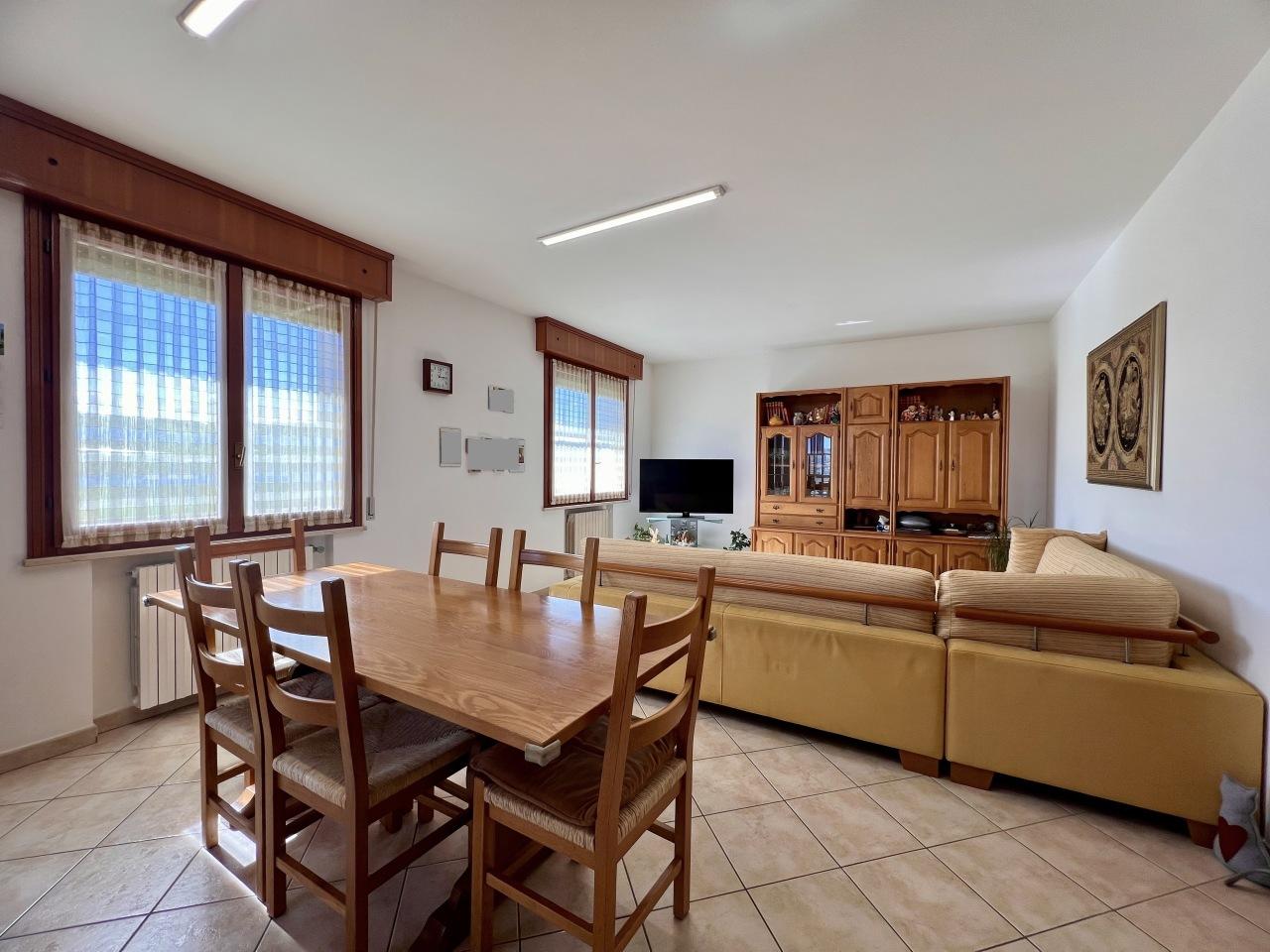 Vendita Multivani, Cesena Vendita Multivani, Cesena foto