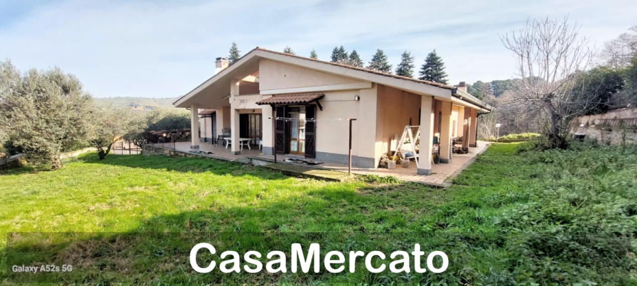 Vendita Multivani, Rocca di Papa foto