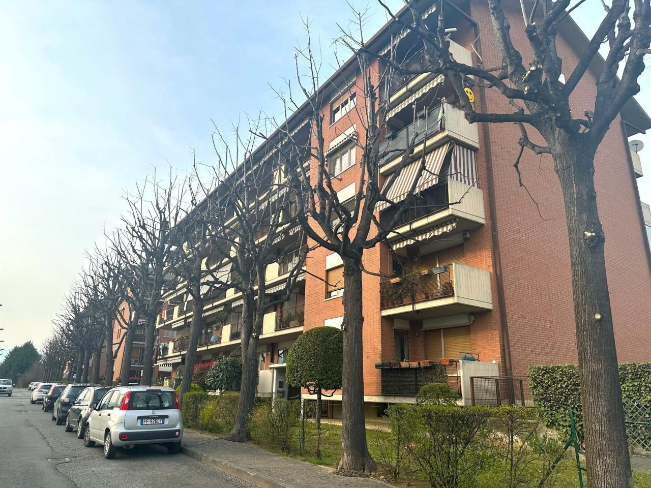 Vendita Trivani, Cirie foto