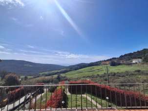 Affitto Trivani, Rosignano Marittimo Affitto Trivani, Rosignano Marittimo