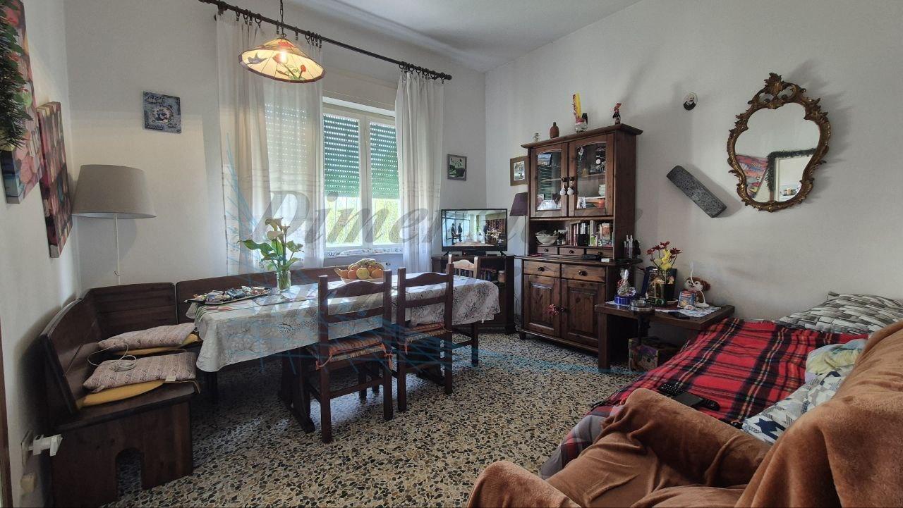Vendita Bivani, Rosignano Marittimo foto