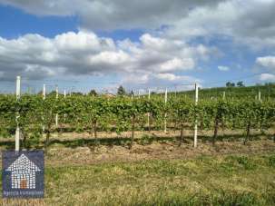 Vendita Azienda agricola, Ravenna Vendita Azienda agricola, Ravenna
